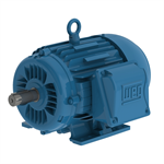 00718ET3E213TF2-W22 WEG 7.5HP General Purpose Electric Motor, 1800RPM