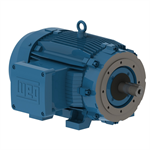 10018XT3E405TC WEG 100HP Explosion Proof Electric Motor, 1800RPM