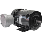 00156XT3E56 WEG 1.5HP Explosion Proof Electric Motor, 3600RPM