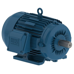 00512ET3H215T-W22 WEG 5HP Severe Duty Electric Motor, 1200RPM