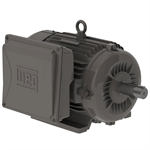 00736ES1B213T-W22 WEG 7.5HP Electric Motor, 3600RPM