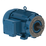 07518XT3E365TC WEG 75HP Explosion Proof Electric Motor, 1800RPM