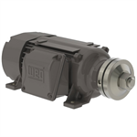 00736ES3ESA80LR WEG 7.5HP Saw Arbor Electric Motor, 3600RPM