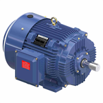 GT1034A Marathon 40HP Globetrotter Electric Motor, 1800RPM